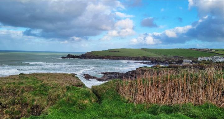 The English Herbalist