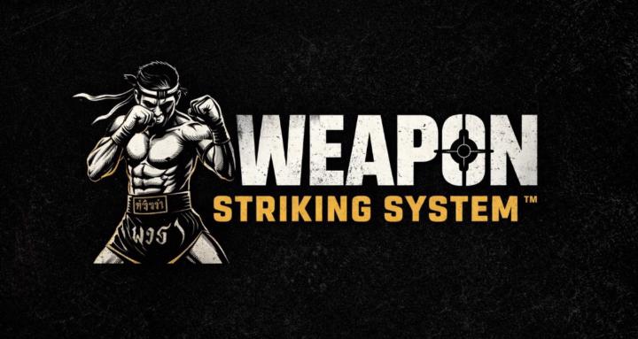 Weapon Striking System