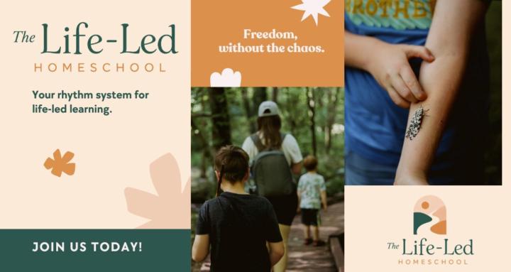 The Life Led Homeschool