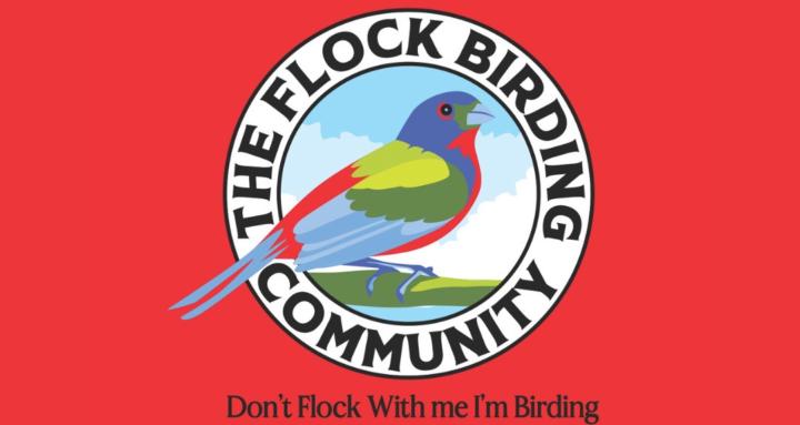The Flock