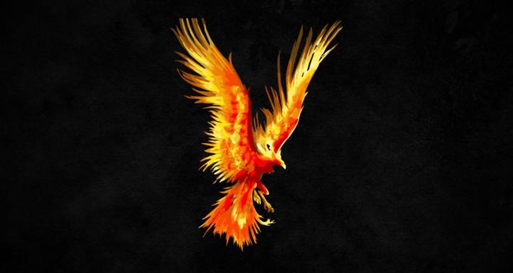 reignite 