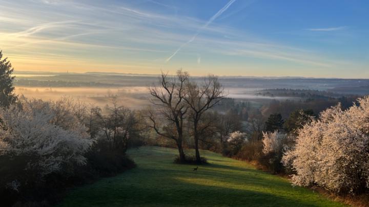 Peter von Rothenburg