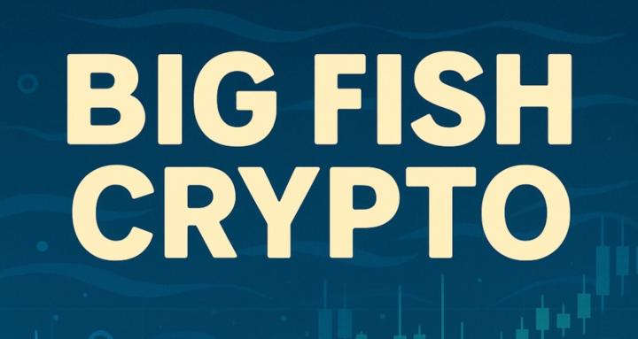 BIG FISH CRYPTO