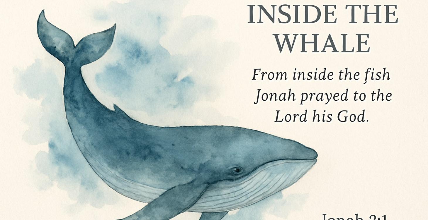 Jonah Study