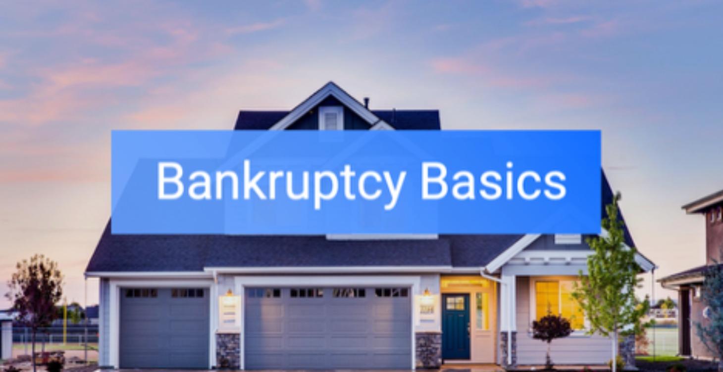 Bankruptcy Basics