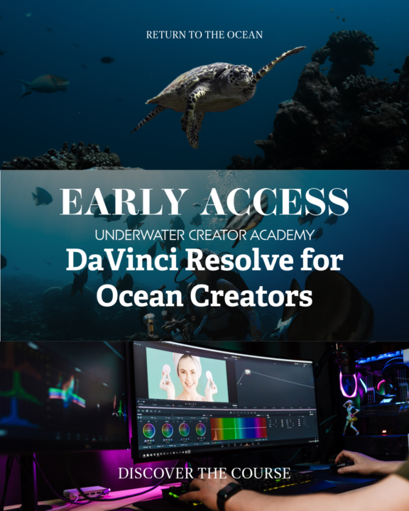 EARLY ACCESS IS HERE!