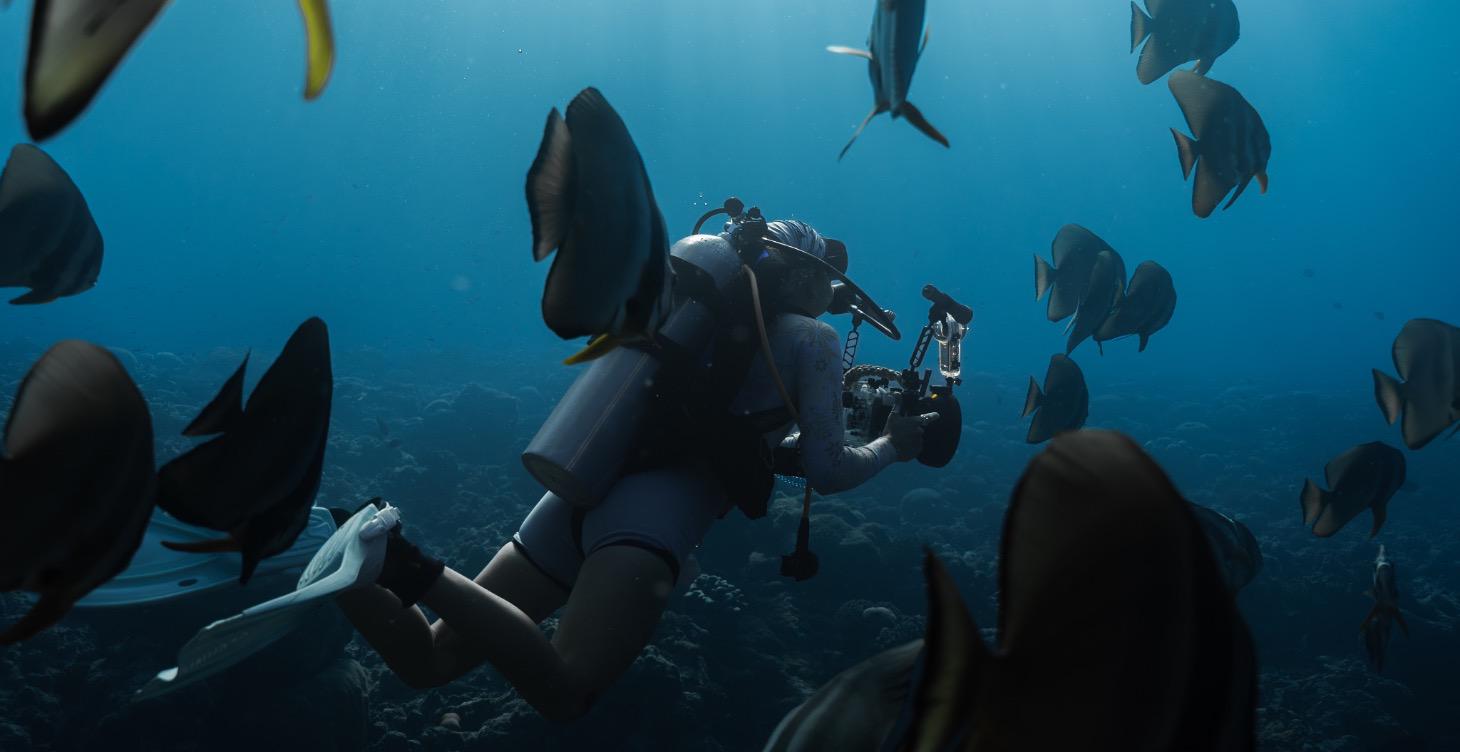 Start Here: Underwater Creator Academy Orientation