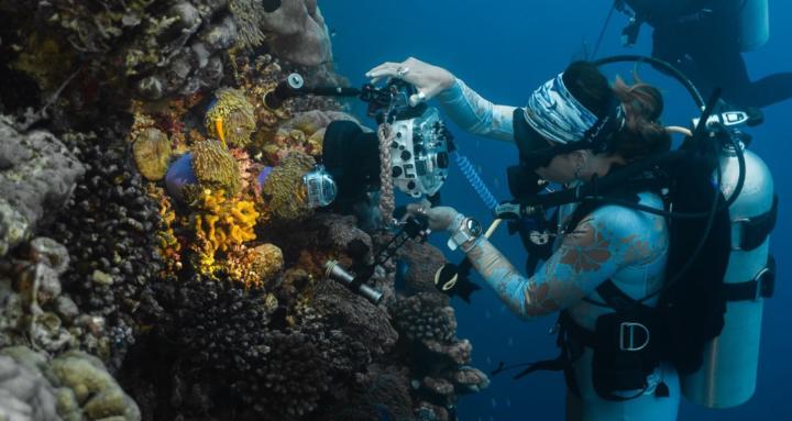 Underwater Creator Academy