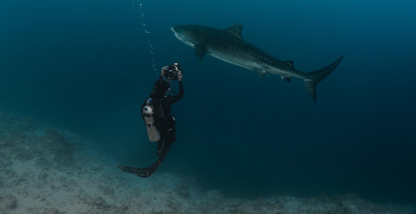 Underwater Creator Starter Kit