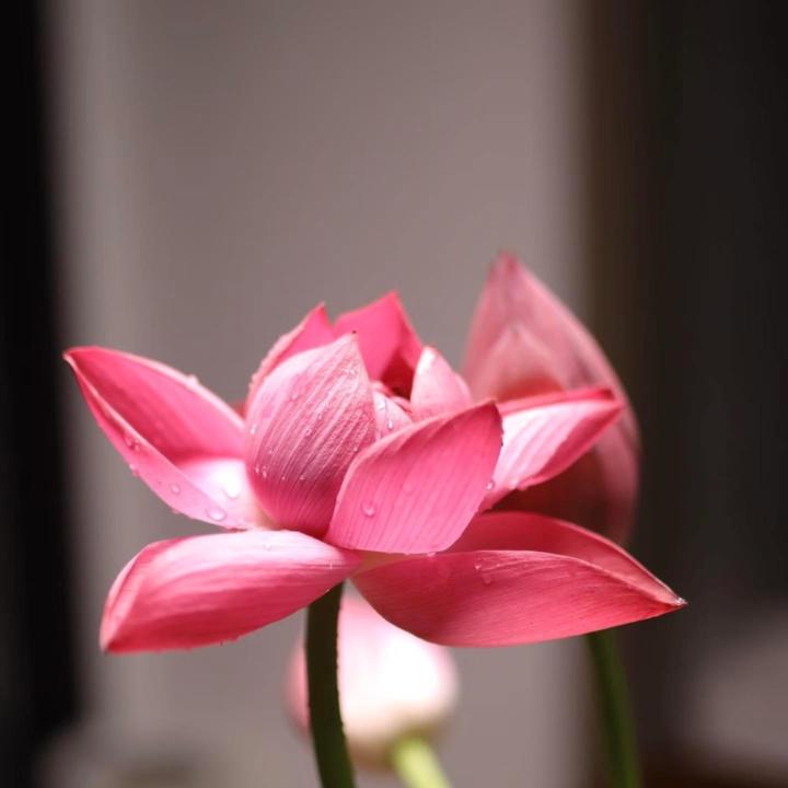 Triều Huỳnh Thuỷ