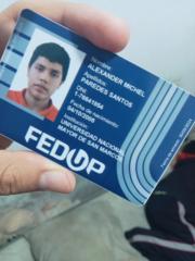 Alexander Michel Paredes Santos