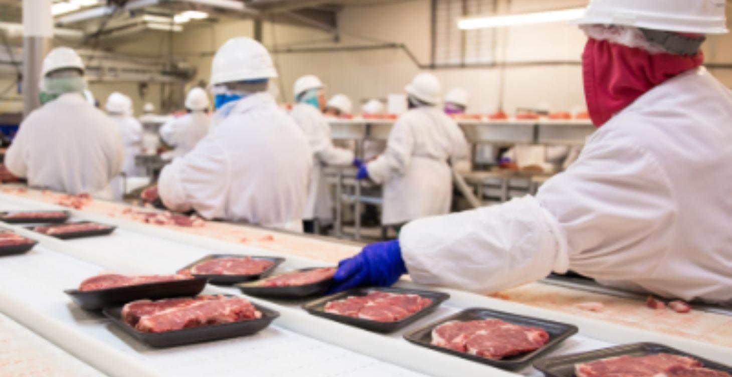 Food Hygiene Level 2 Interactive