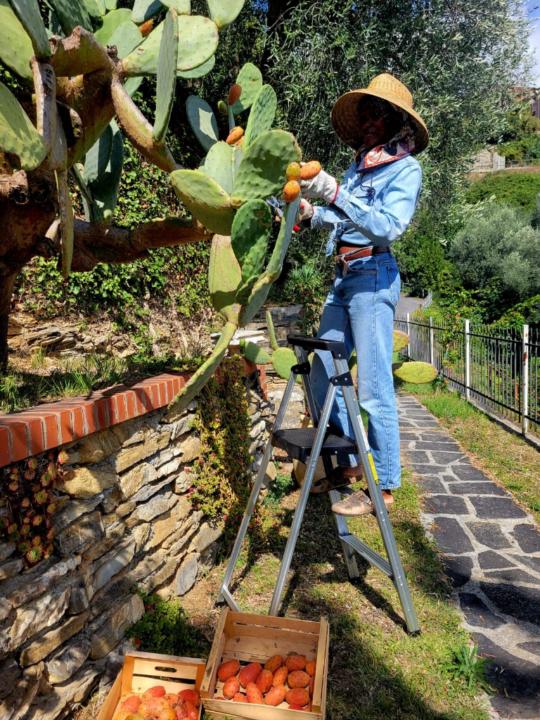 Ghana El Shabazz Hansson