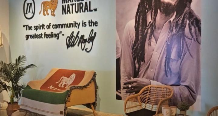 Master of Locs Academy