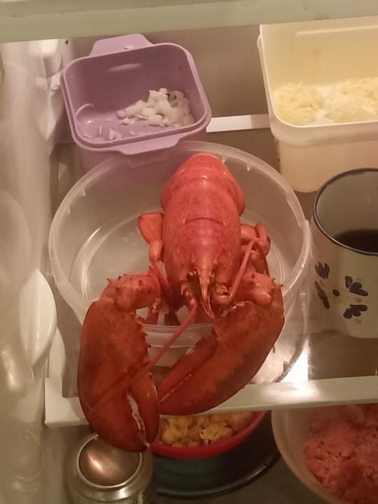 Juan De Dios Quiñones Rivera