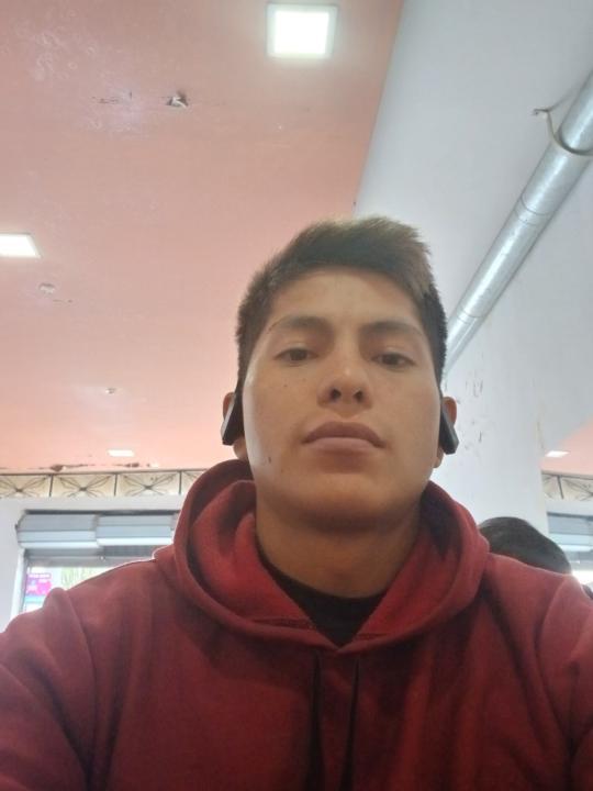 Proly leo Pirca castillo