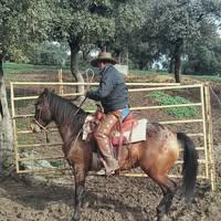 Carlos Javier Ponferrada Abrisqueta