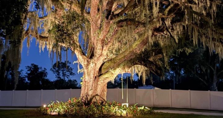 Yoga•Plants•Thoughts