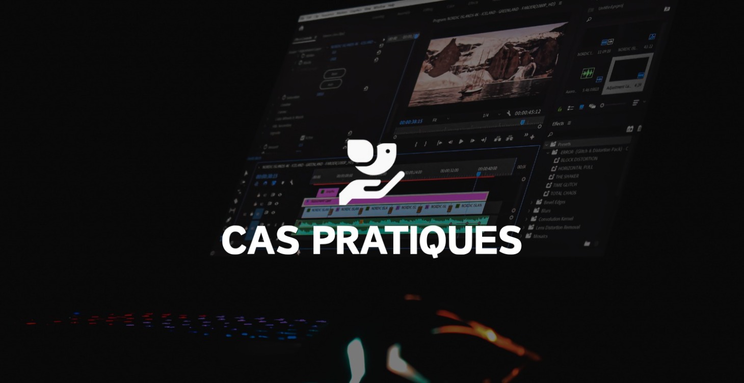 CAS PRATIQUES