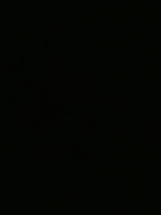 Dee S