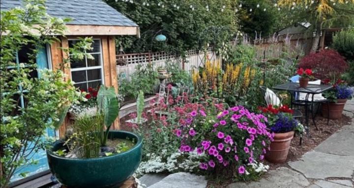 The Suburban Gardener