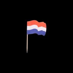 Joop Isotoop