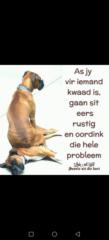 Iddo Zevenster