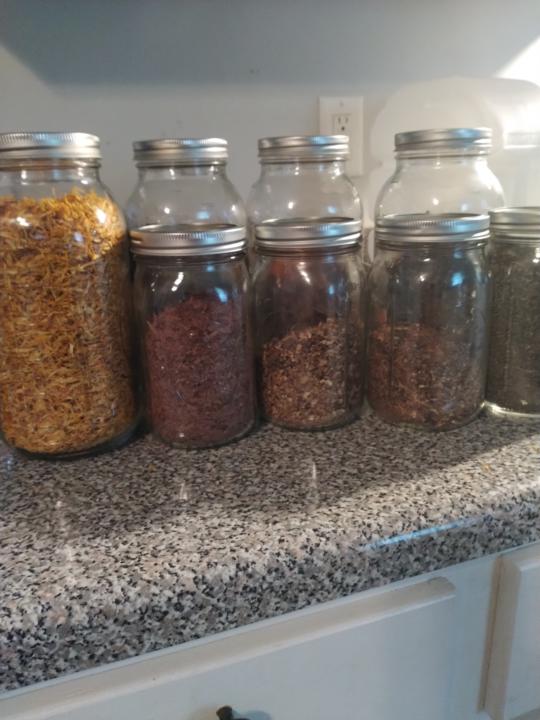 Pau d' Arco herb of the day. 