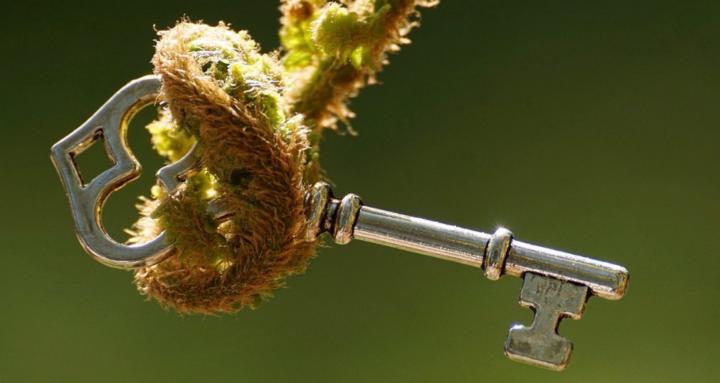 Synergaia Macht der Worte