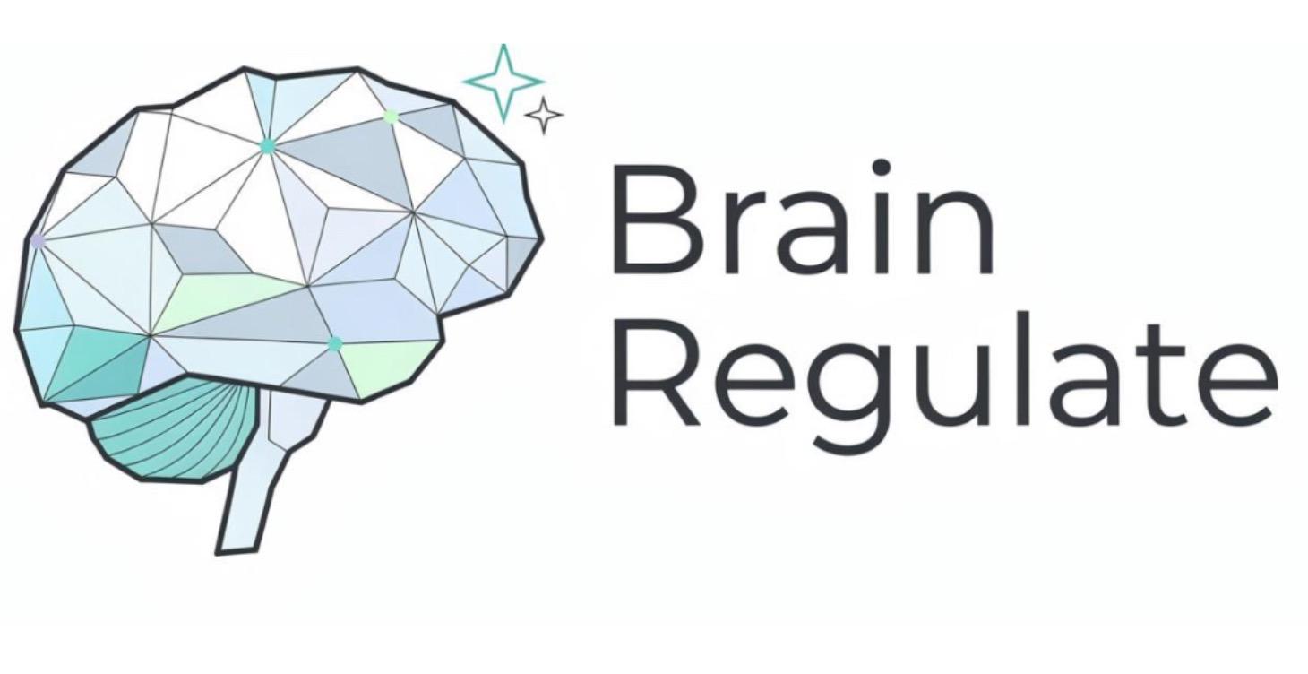Brain ReGulate-Week 2