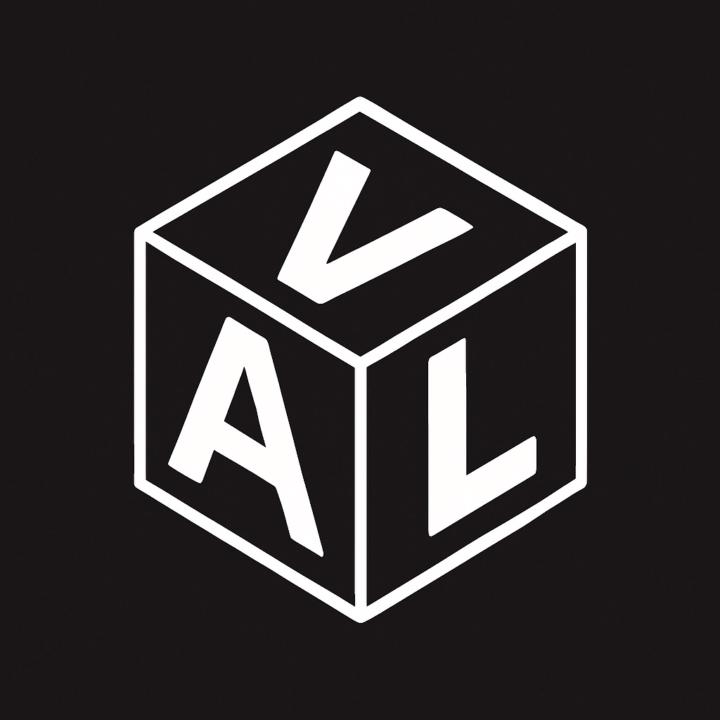 Alin Vlad