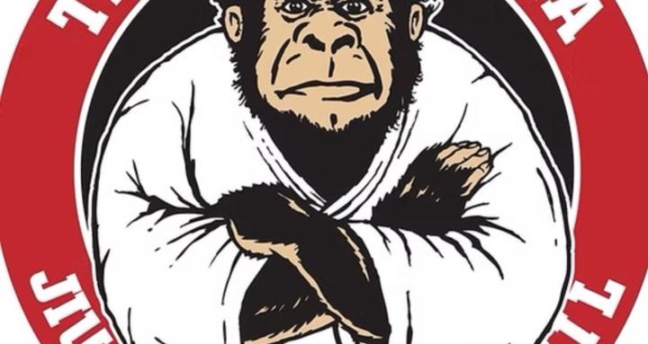 Beginner to advanced Jiu-Jitsu