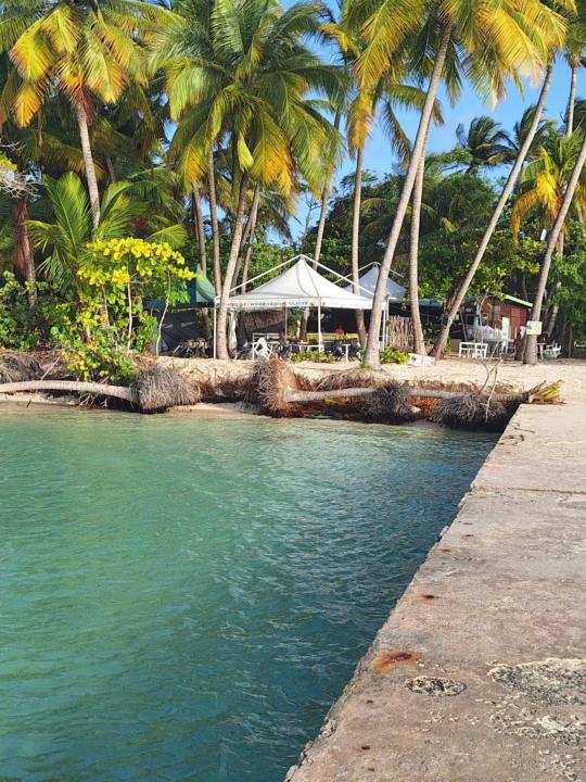 Guillaume Marie line