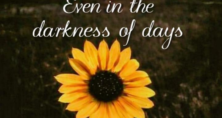 Sunflowers Life Coach