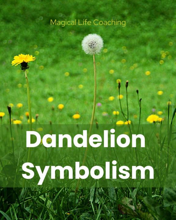 Symbol for today -- Dandelions