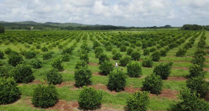 safe investments mex