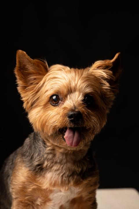 Lorena Sanchez maruenda