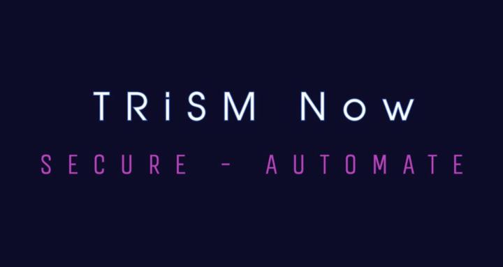 TRiSM Now