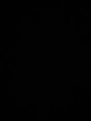 Cristian Andrei Mihaila