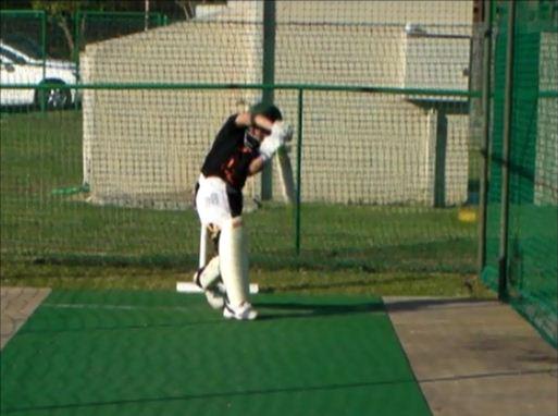 A Seed becomes a mighty oak