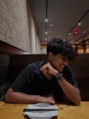 Aditya Rajesh