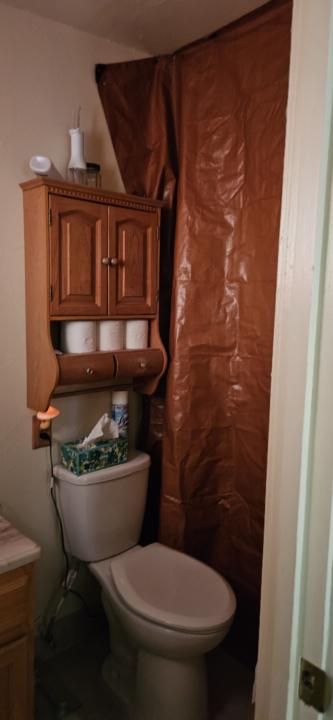 Drying and curing process