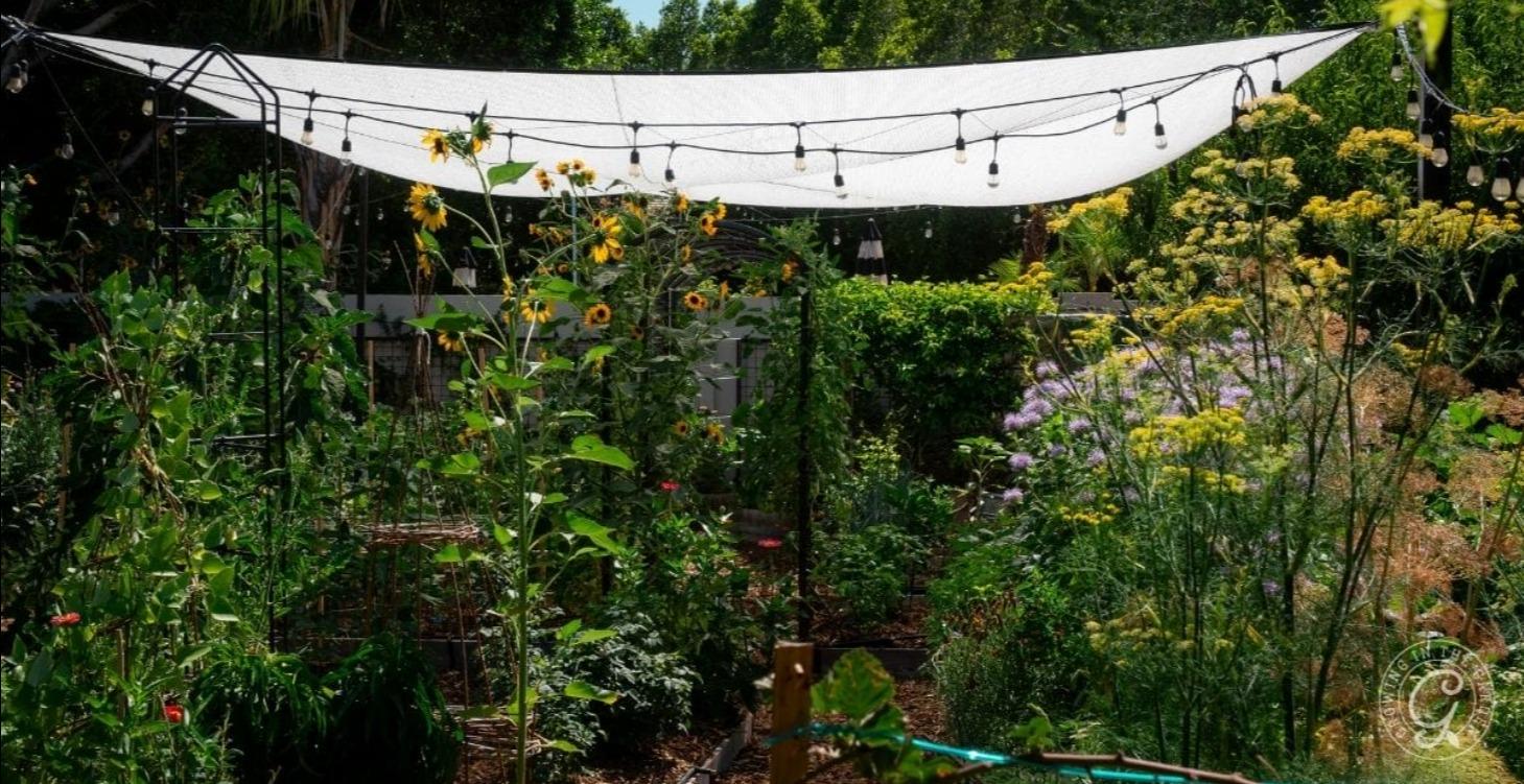 Gardening in the Desert