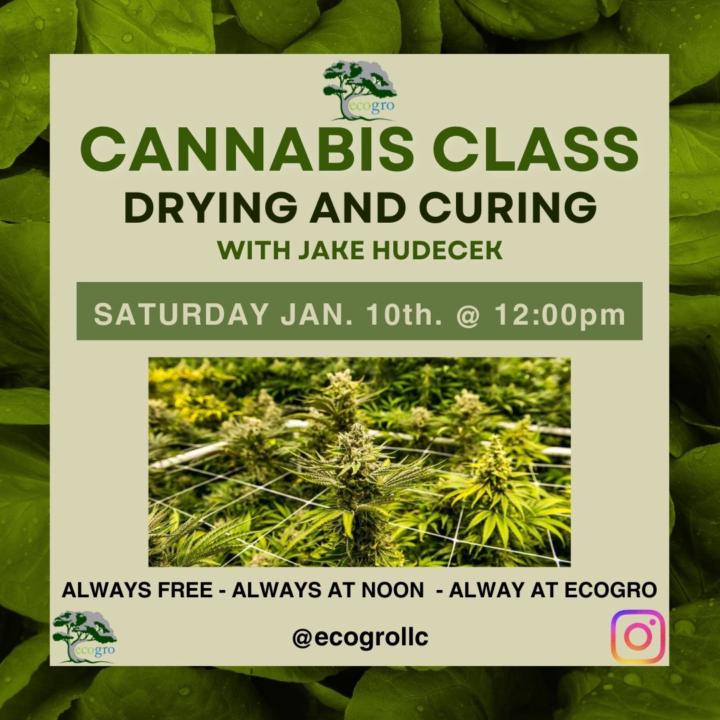 Drying and Curing Class 🍃