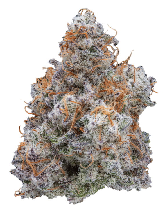 Why do you grow weed?