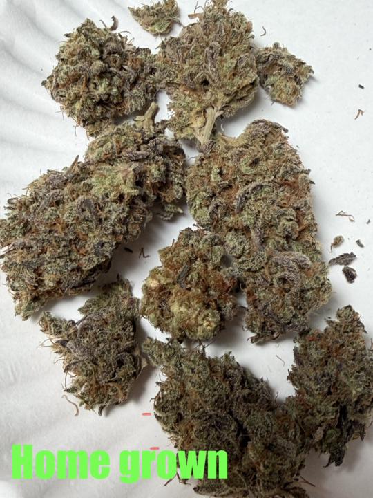 Bud Density - Dispensary vs. Home Grown