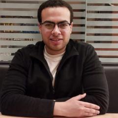Abdelrahman Mansour