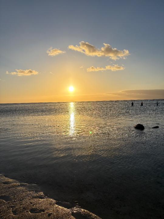 Massy Laviolette Aimée