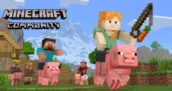 Minecraft Community