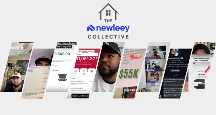 The Newleey Collective
